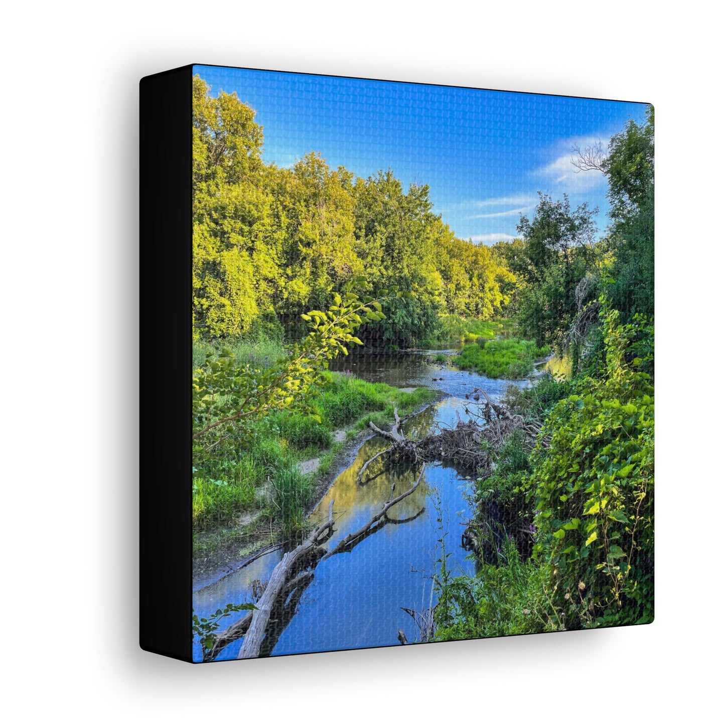 Calm River (photo gallery collection.)