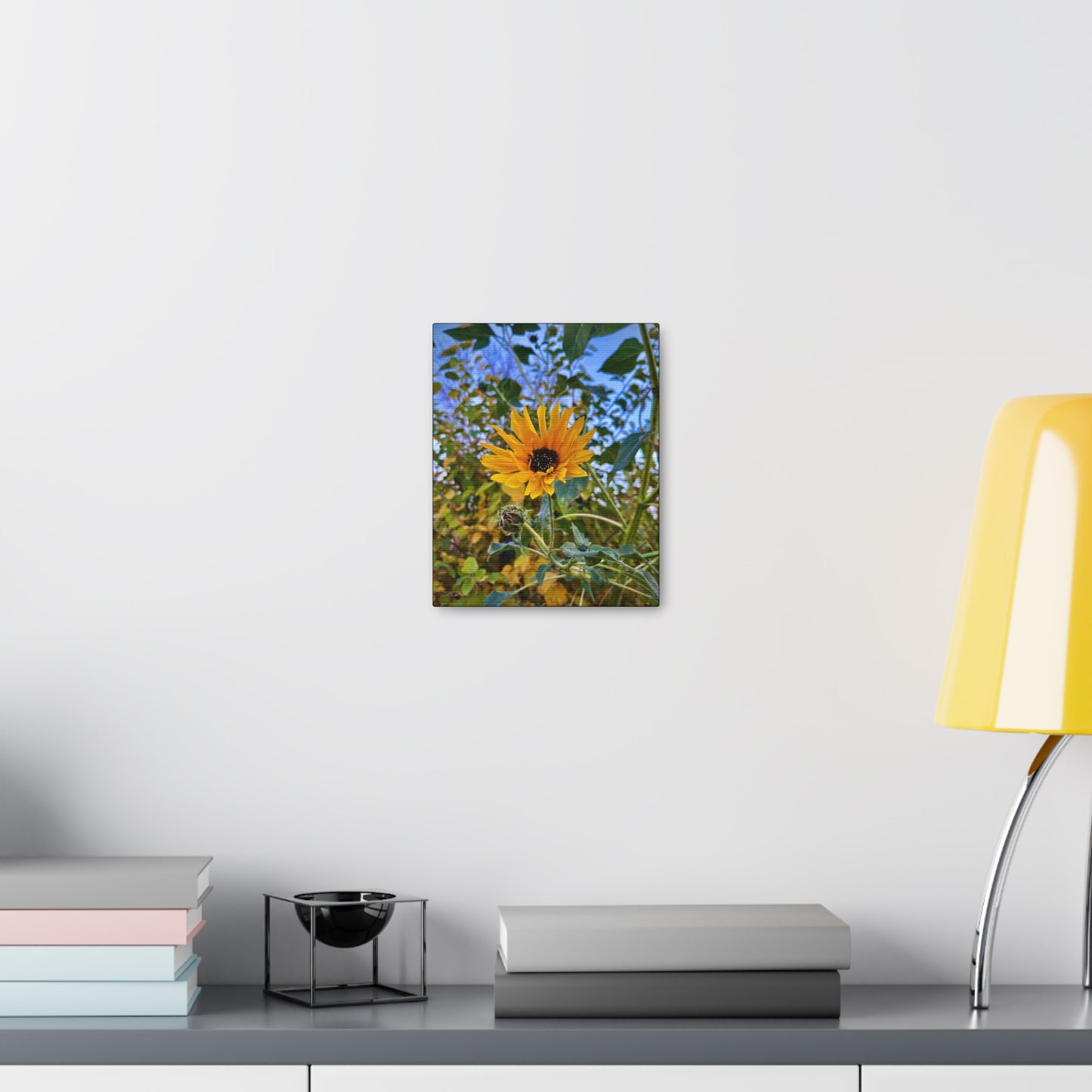 Sunflower (photo gallery collection.)