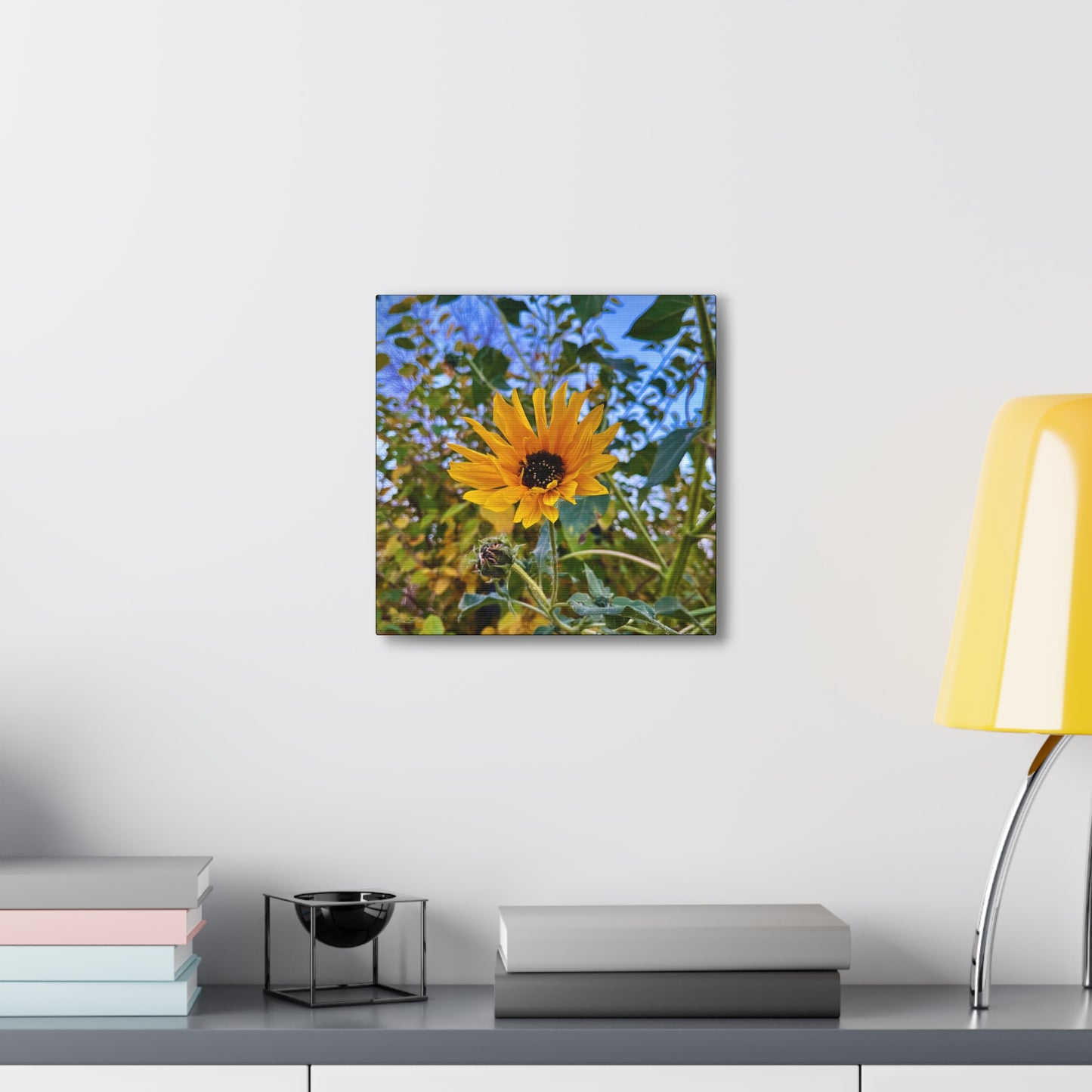 Sunflower (photo gallery collection.)