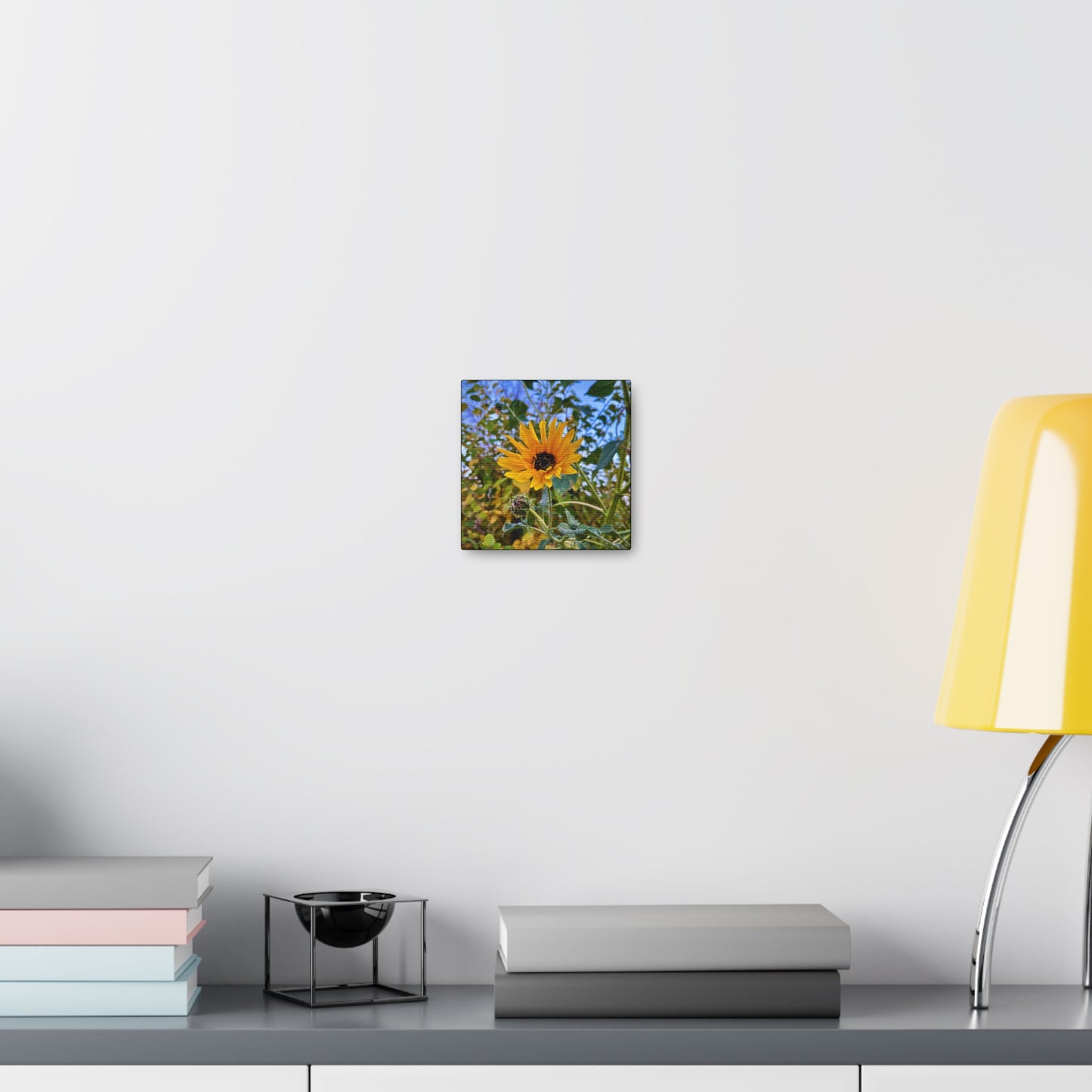 Sunflower (photo gallery collection.)