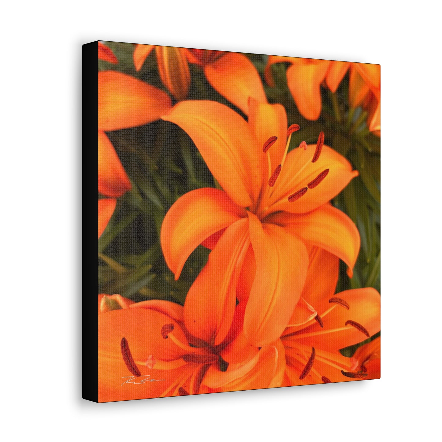 Orange Flower (photo gallery collection.)