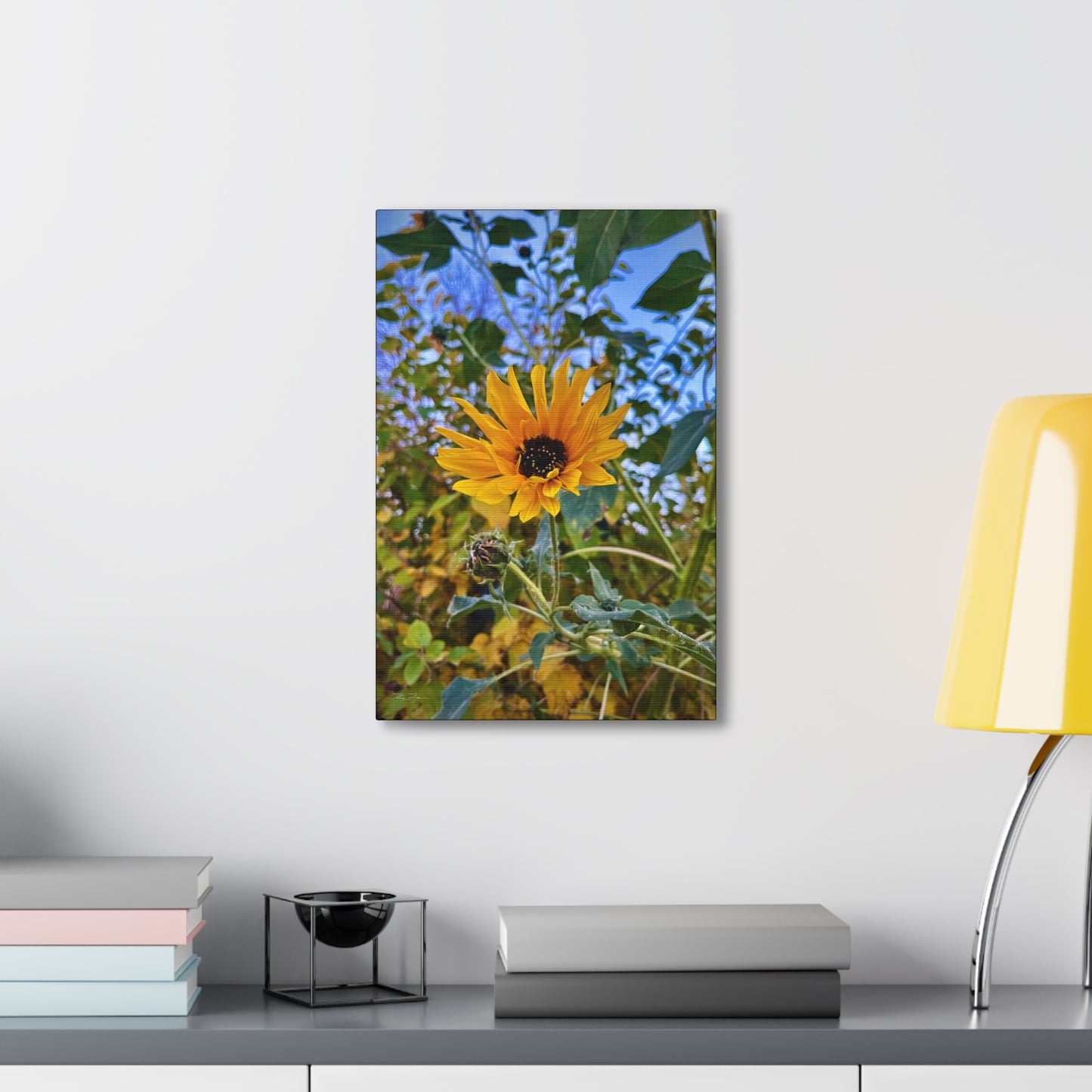 Sunflower (photo gallery collection.)