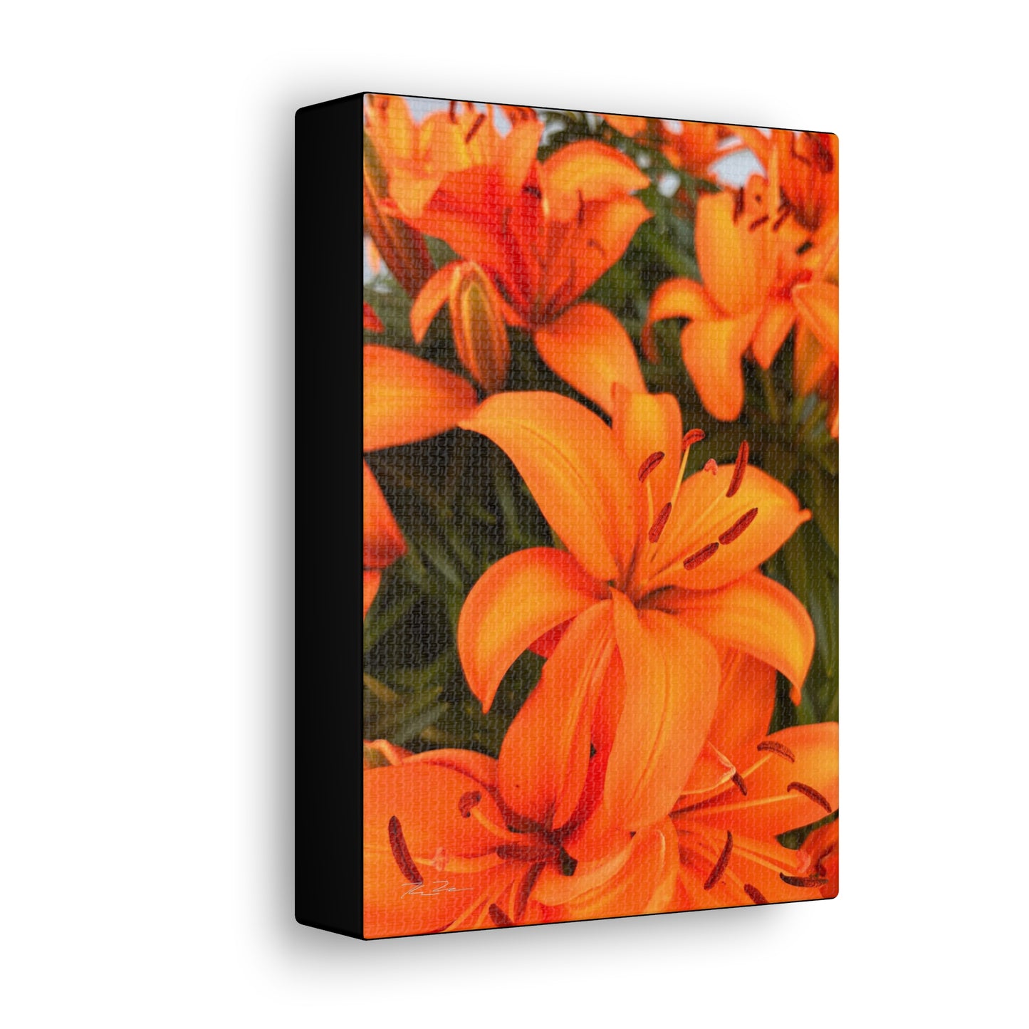Orange Flower (photo gallery collection.)