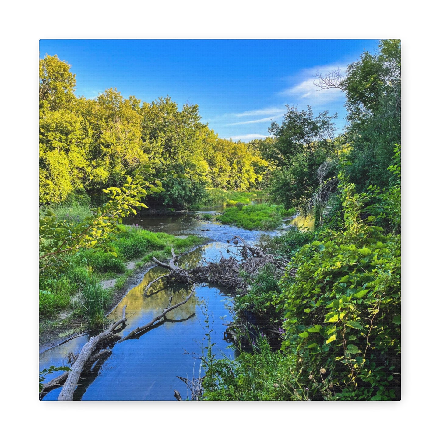 Calm River (photo gallery collection.)