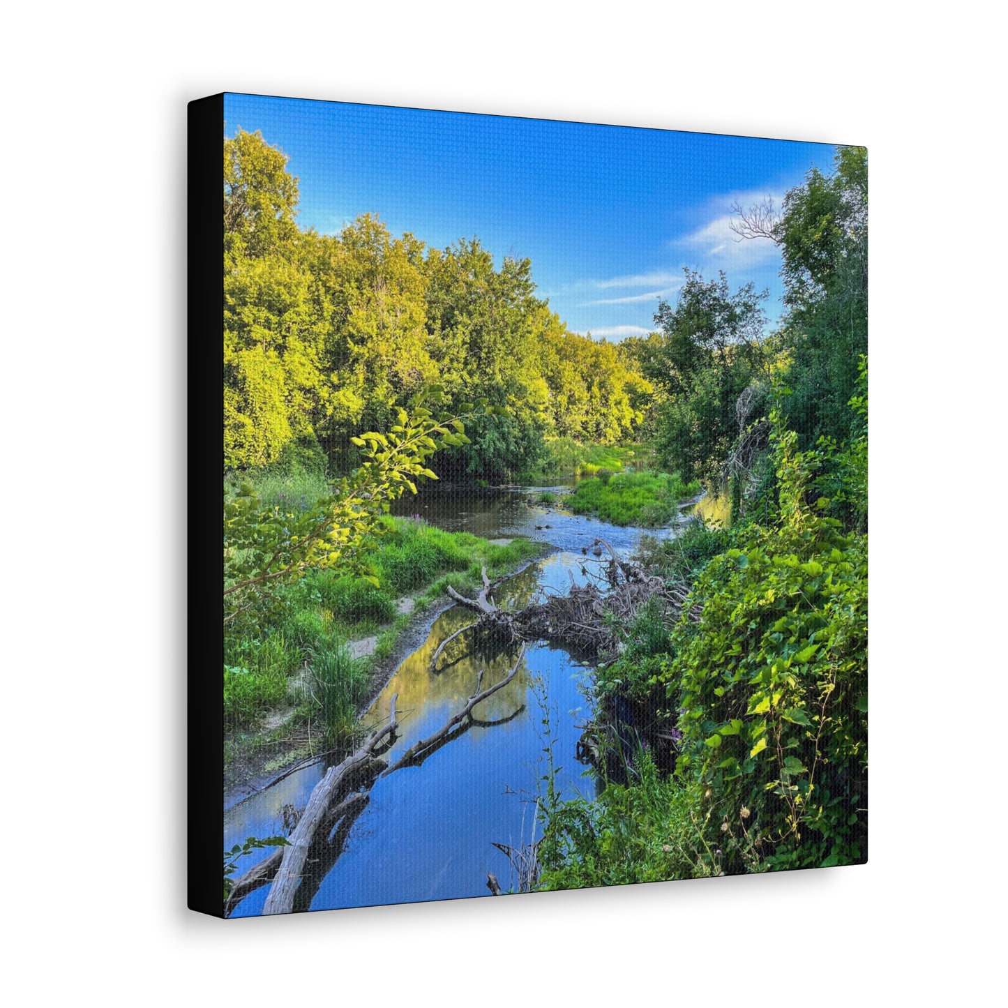 Calm River (photo gallery collection.)