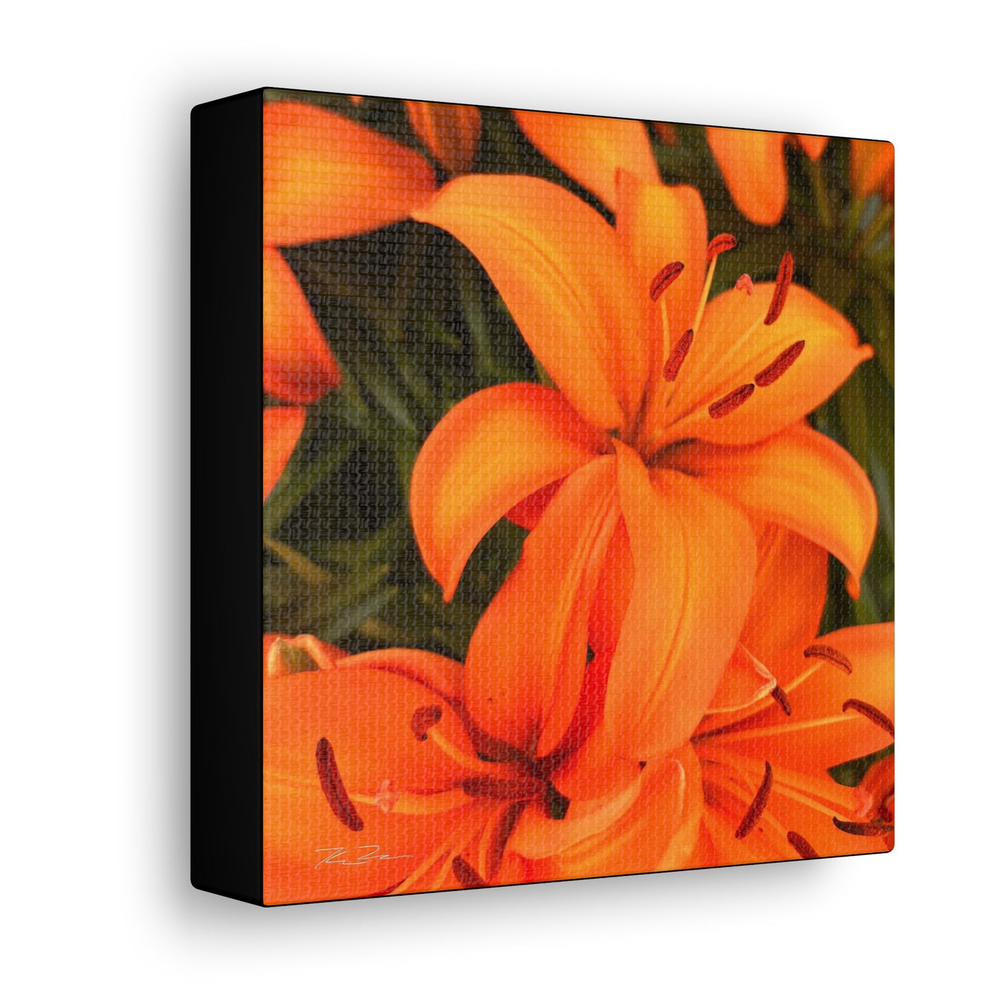 Orange Flower (photo gallery collection.)