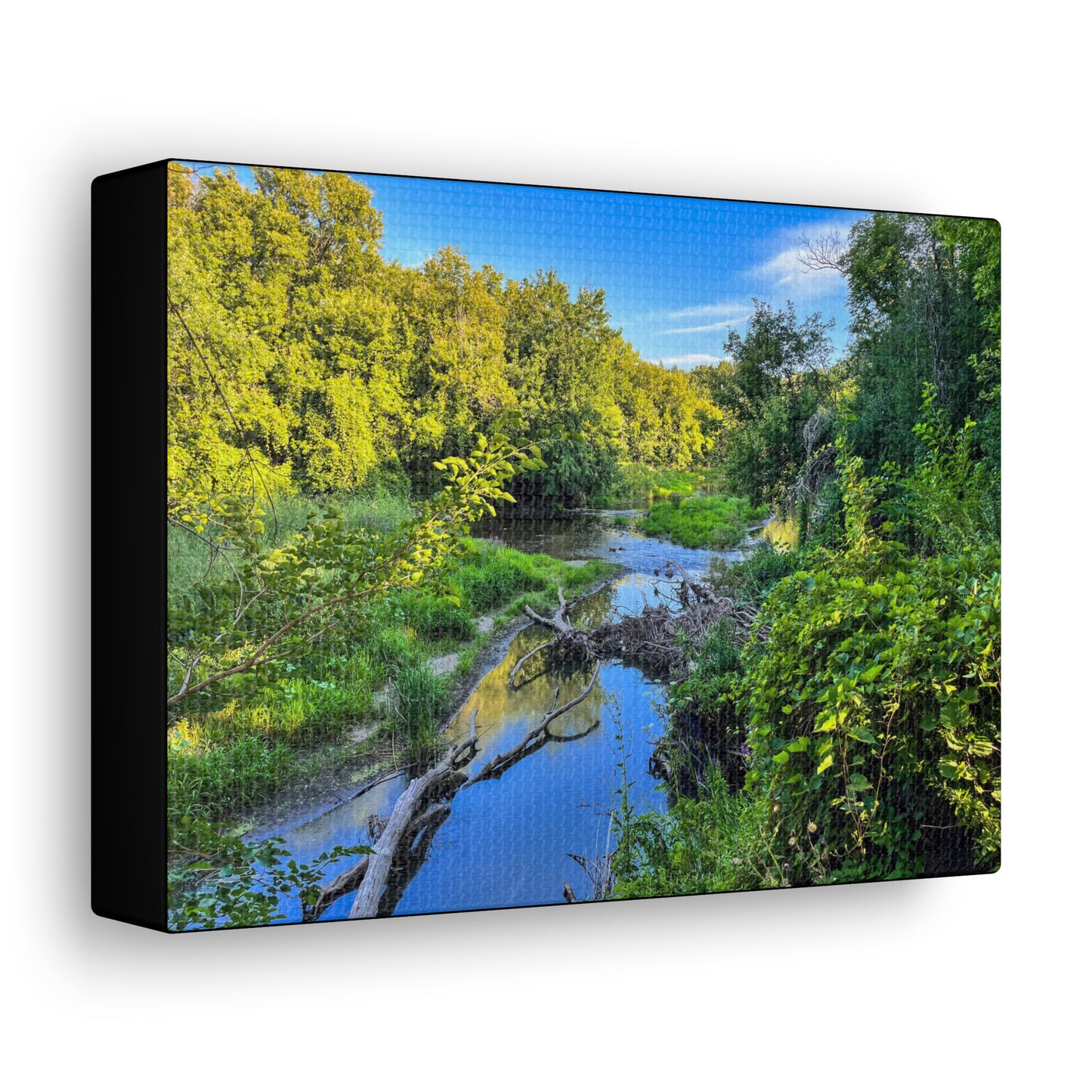 Calm River (photo gallery collection.)