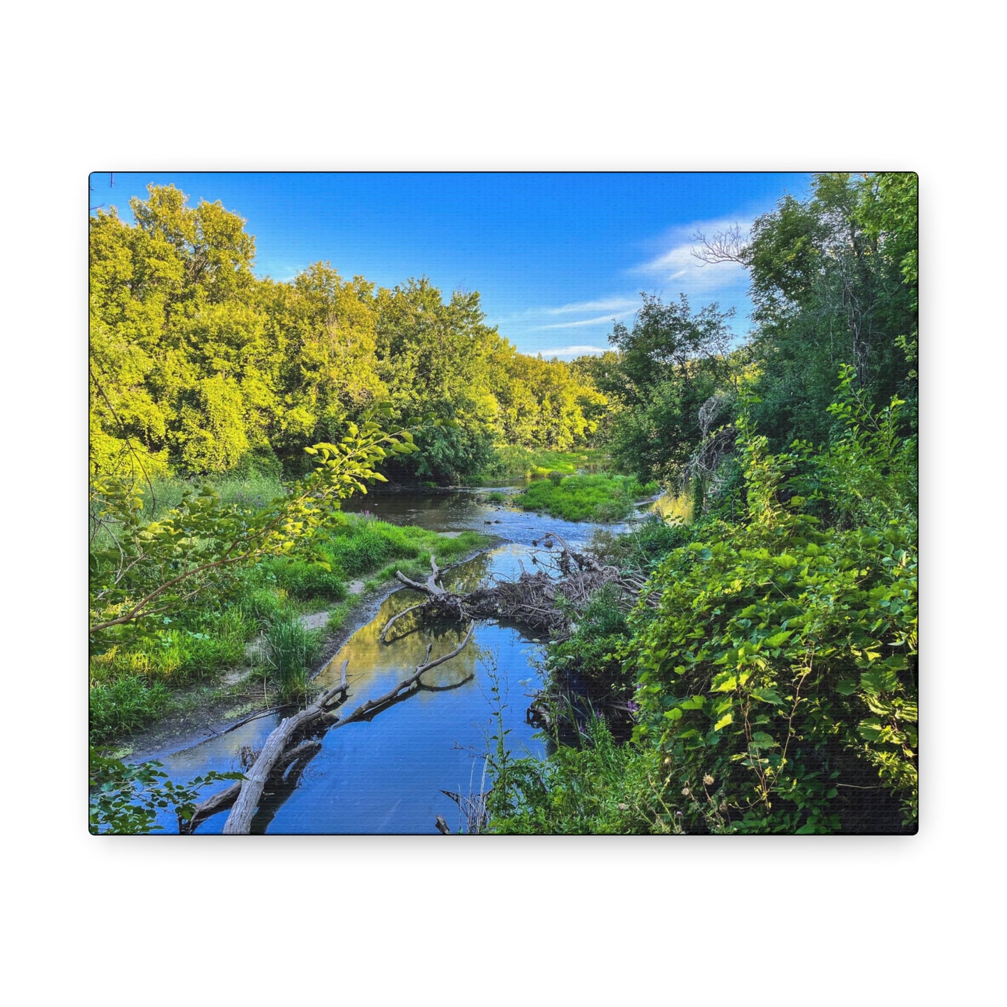 Calm River (photo gallery collection.)