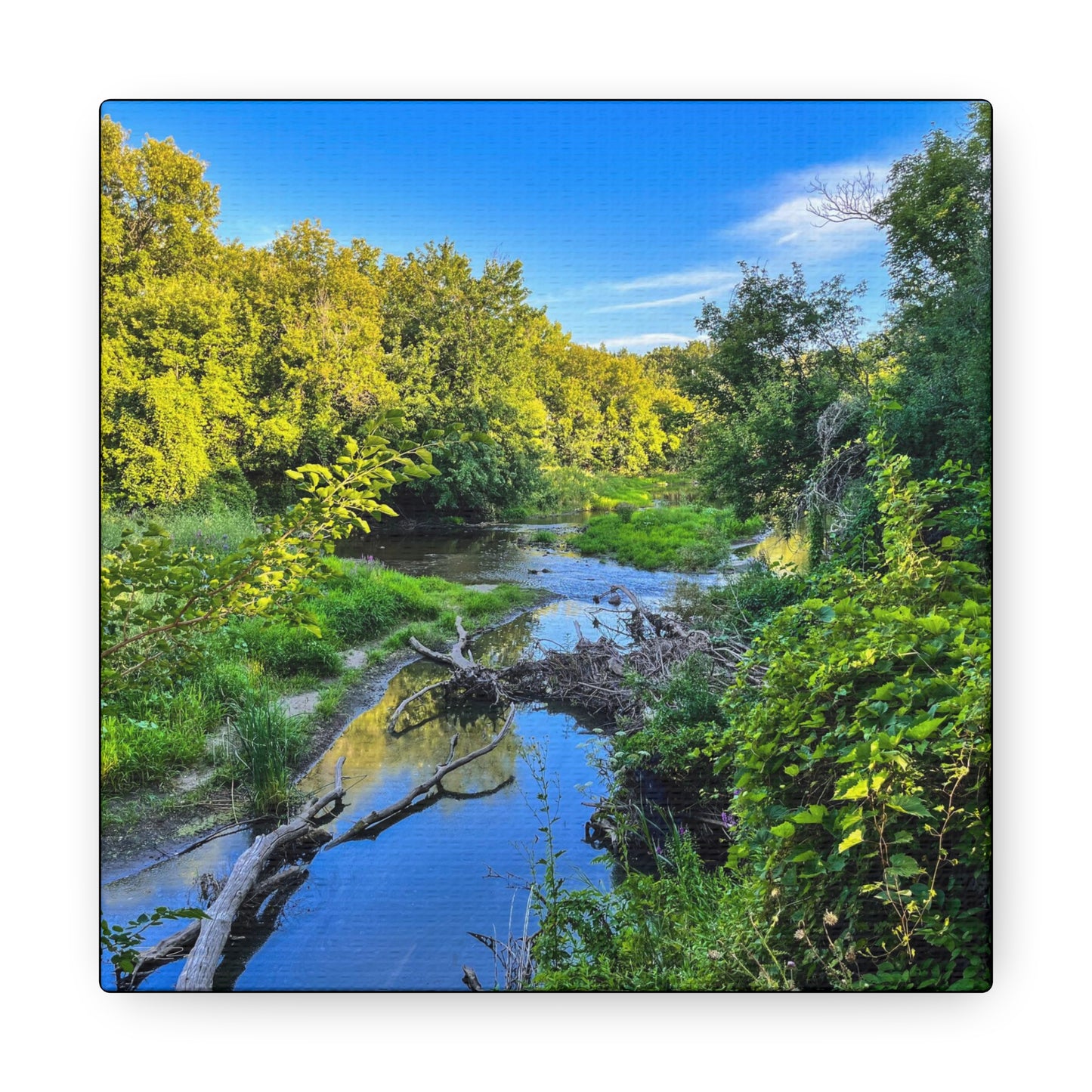Calm River (photo gallery collection.)