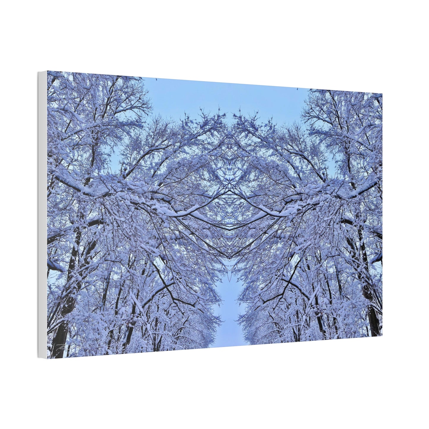 SnowVeil (Canvas Collection.)