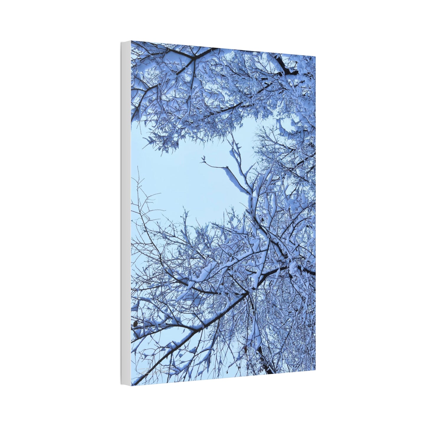 SnowVeil (Canvas Collection.)