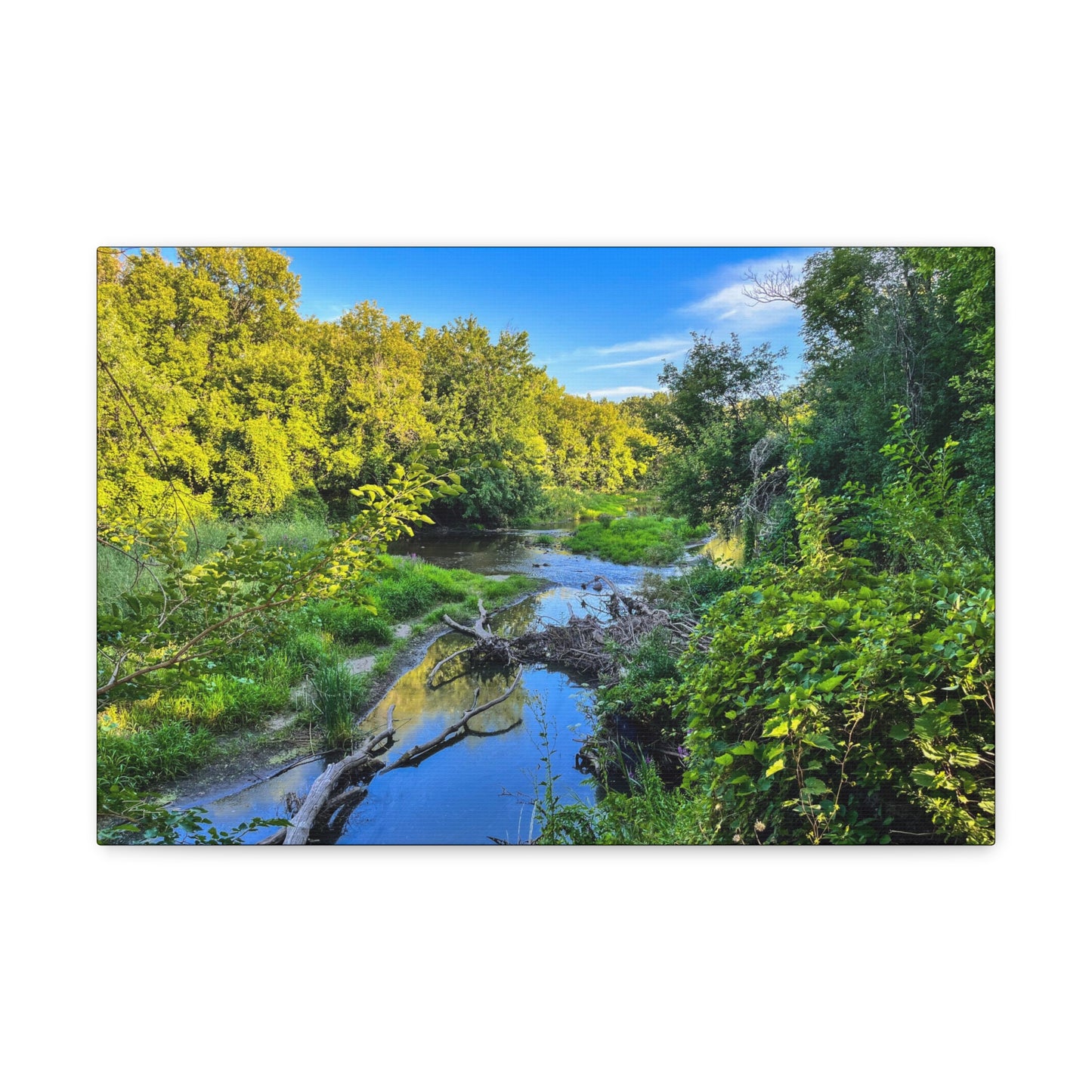 Calm River (photo gallery collection.)