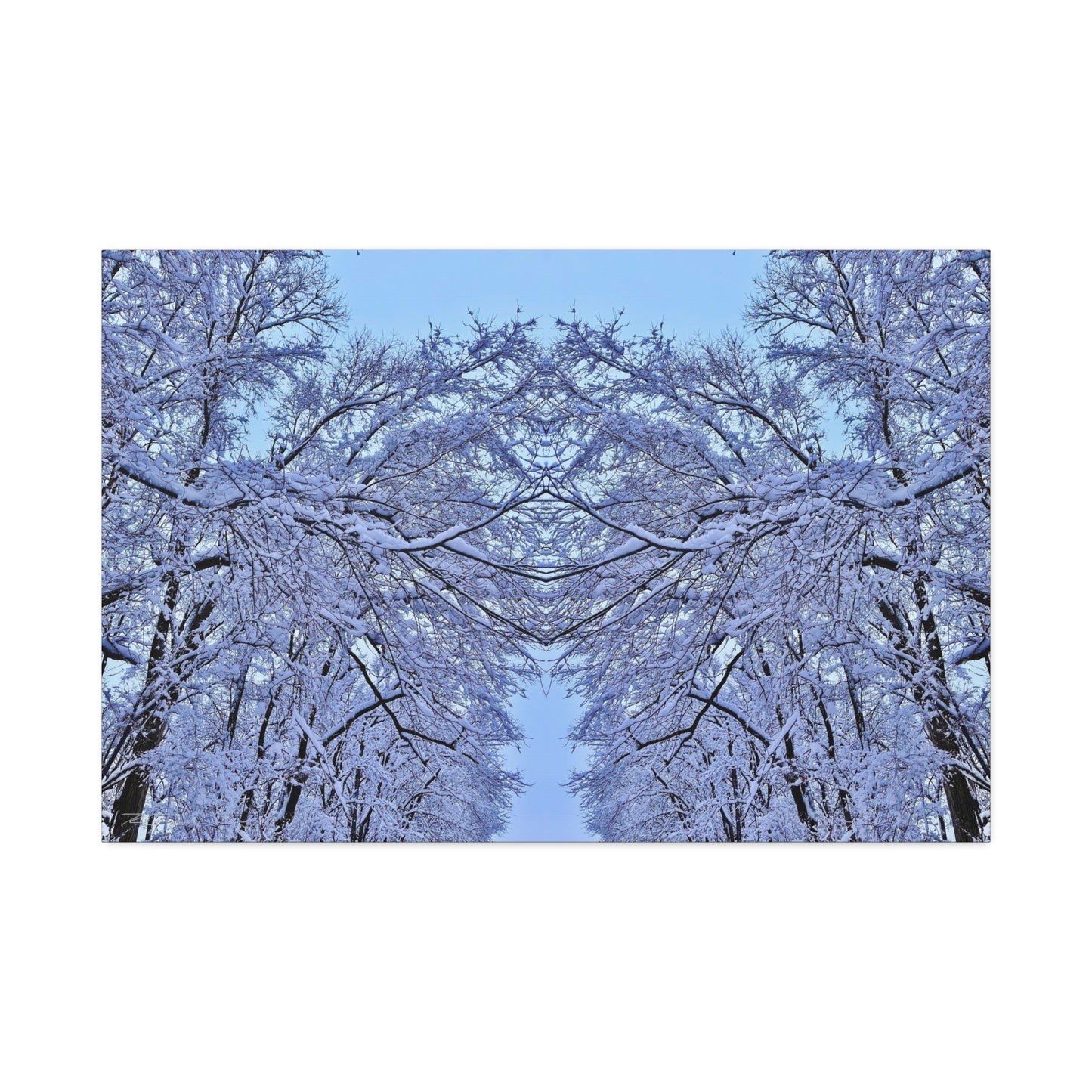 SnowVeil (Canvas Collection.)