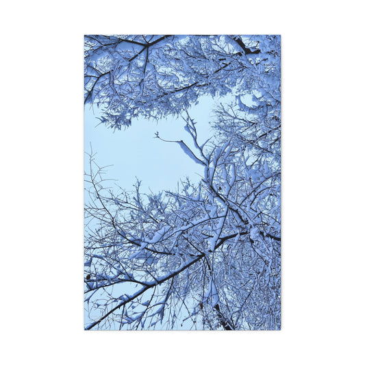 SnowVeil (Canvas Collection.)